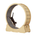 Cat Exercise Wheel, Large Quiet Running Wheel for Indoor Cats, Detachable Carpet