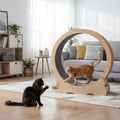 Cat Exercise Wheel, Large Quiet Running Wheel for Indoor Cats, Detachable Carpet