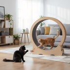 Cat Exercise Wheel, Large Quiet Running Wheel for Indoor Cats, Detachable Carpet