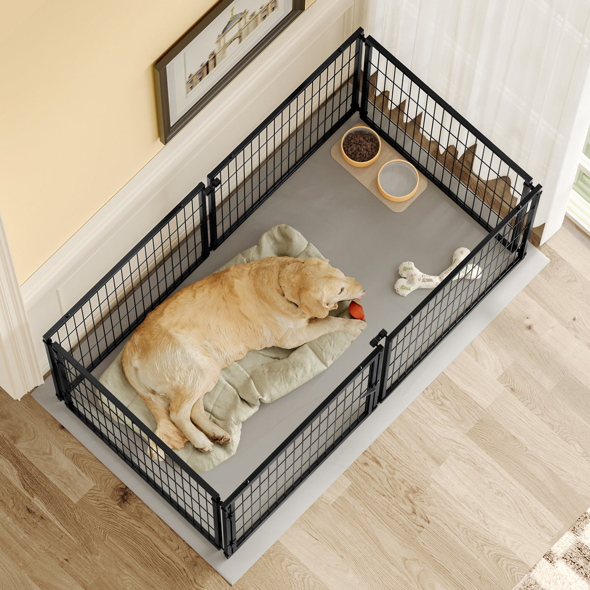 Large Dog Cage & Kennel for Medium Dogs with Top