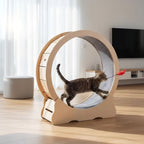 Cat Exercise Wheel, Large Quiet Running Wheel for Indoor Cats, Detachable Carpet