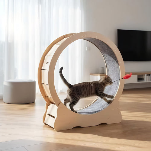 Cat Exercise Wheel, Large Quiet Running Wheel for Indoor Cats, Detachable Carpet