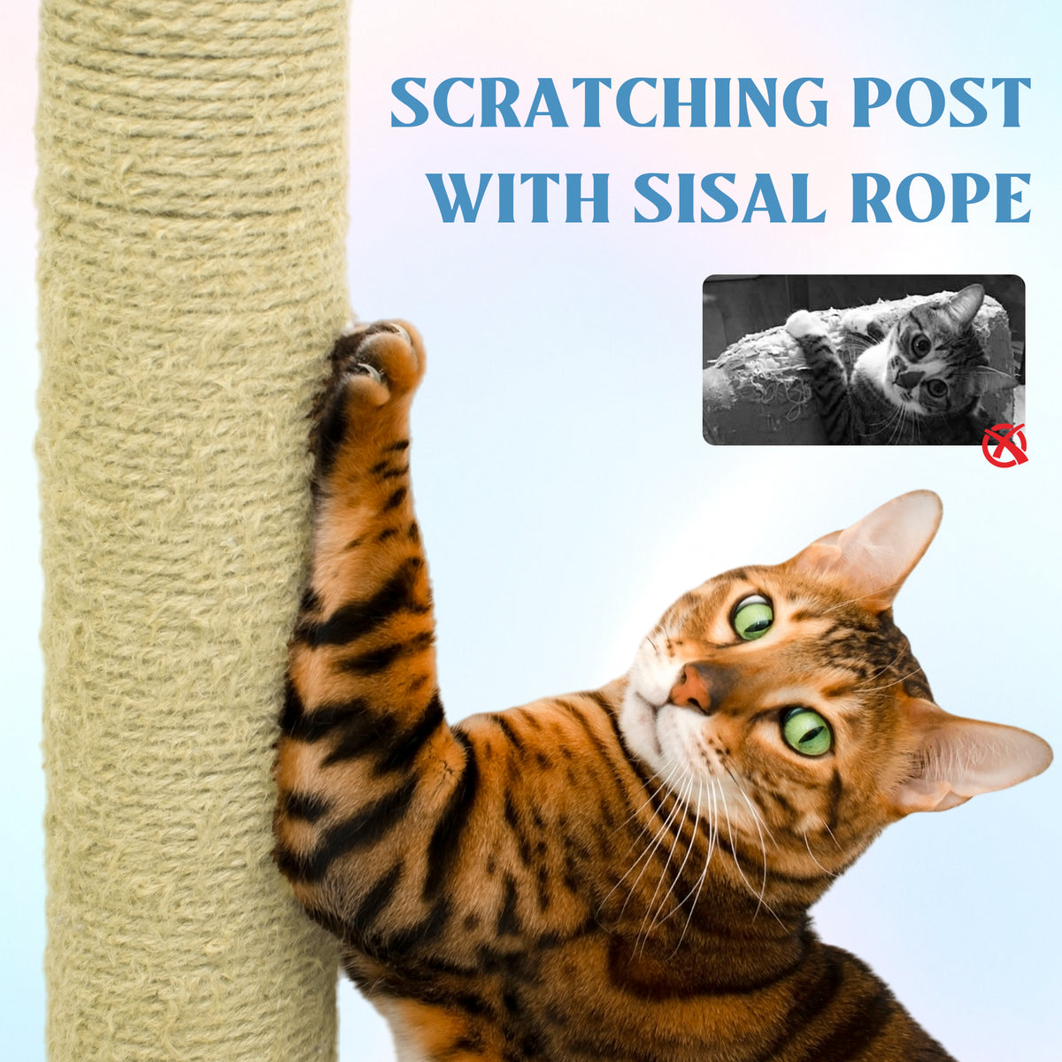 Flower Cat Tree with Large Condo, Removable Flower Cushion & Hammock