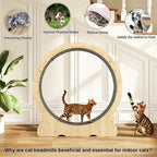 Cat Exercise Wheel, Large Quiet Running Wheel for Indoor Cats, Detachable Carpet