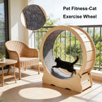 Cat Exercise Wheel, Large Quiet Running Wheel for Indoor Cats, Detachable Carpet