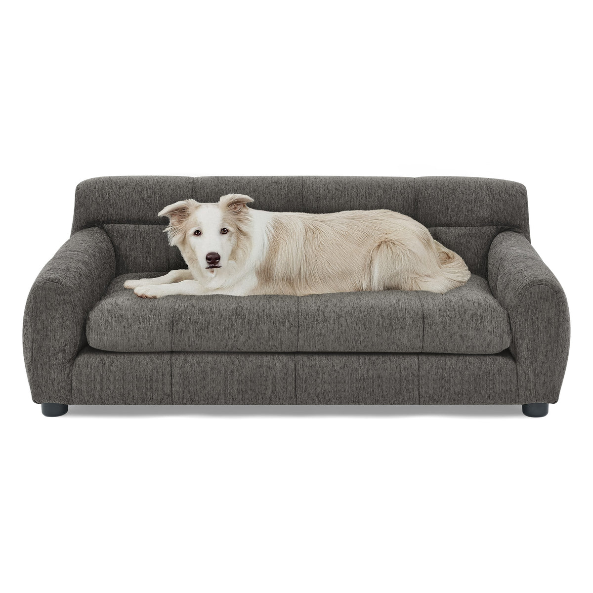 Dog Upholstered Pet Sofa Couch with High Backrest and Armrests, Modern Rectangular Soft  Comfortable Pet Bed for Small and Medium Dogs, Beige