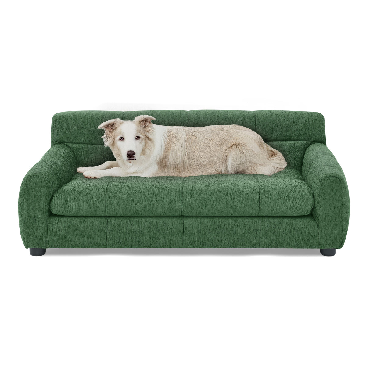 Dog Upholstered Pet Sofa Couch with High Backrest and Armrests, Modern Rectangular Soft  Comfortable Pet Bed for Small and Medium Dogs, Beige