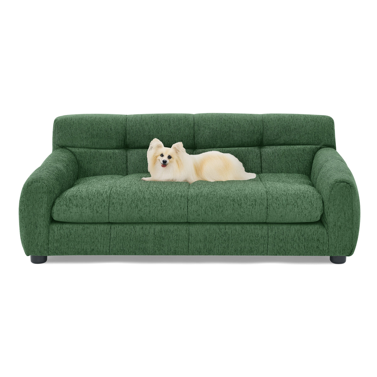 Dog Upholstered Pet Sofa Couch with High Backrest and Armrests, Modern Rectangular Soft  Comfortable Pet Bed for Small and Medium Dogs, Beige