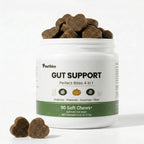 Pawtikko Gut Support Perfect Bites 4 in 1 for Dogs - Probiotic, Prebiotic, Enzymes & Fiber - 90 Soft Chews for Digestive Care, Gut Balance, Loose Stool Relief, Suitable for All Breeds & Sizes