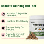 Pawtikko Gut Support Perfect Bites 4 in 1 for Dogs - Probiotic, Prebiotic, Enzymes & Fiber - 90 Soft Chews for Digestive Care, Gut Balance, Loose Stool Relief, Suitable for All Breeds & Sizes